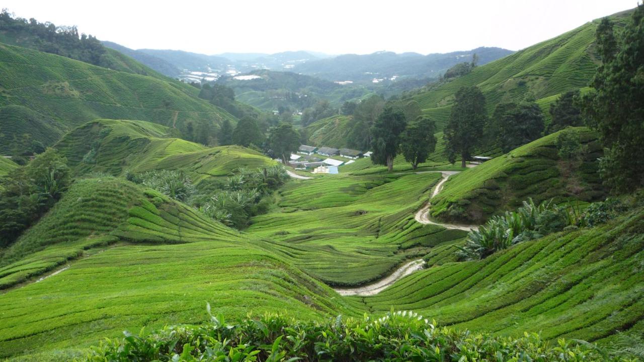 The Quintet Cameron Highlands By Tulip Танах-Рата Екстер'єр фото
